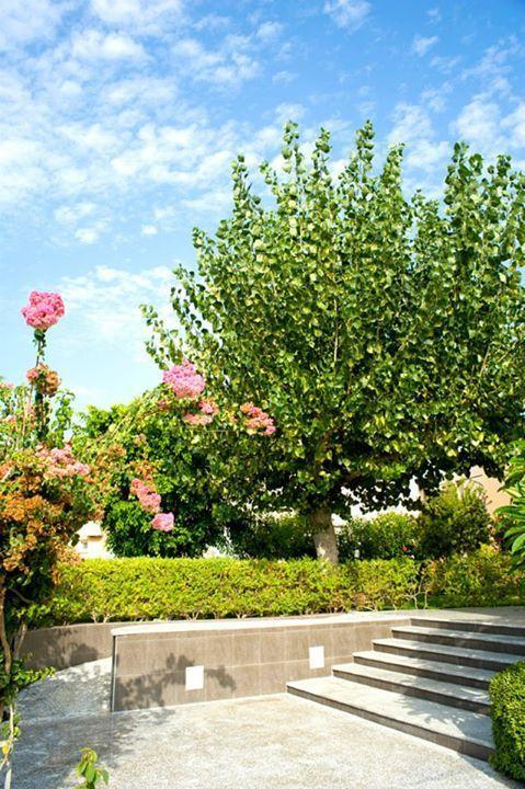 يورانيون Alfa Hotel Apartments المظهر الخارجي الصورة